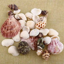 150g Assorted Shells