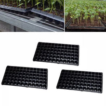 3pc Seeding Trays